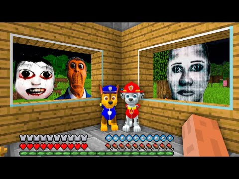 We Found Obunga Selene Delgado AHENO at 3:00 AM in minecraft vs Paw Patrol