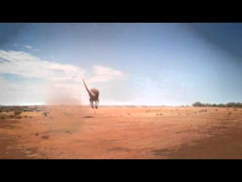 Slow Runner "Auto-Happy" (for Emerson Australia)