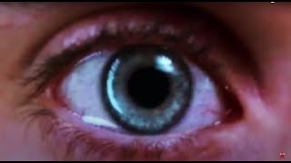 SLIME - Bester Freund (OFFICIAL VIDEO)