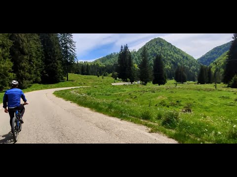 POIENILE VALSANULUI VIA MUNTENIA MTB
