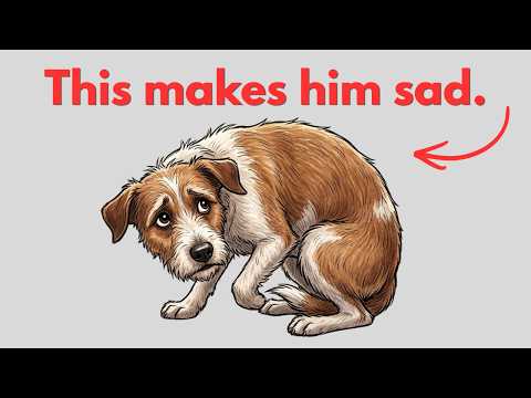 5 things that are making your dog sad — and you do them every day