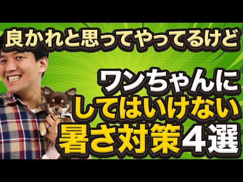 犬を暑さの中で入浴させるのは有害ですか?