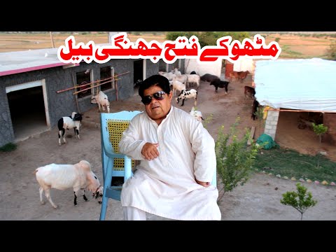 Pothwari Top Funny Drama - Mithu Butt Ep1 - Shahzada Ghaffar Funny Clips - Pothwar Gold