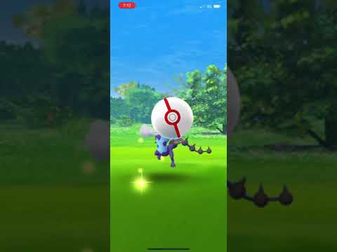 Pokémon Go - Level 5 Raid - Thundurus