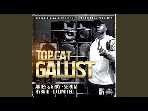 Gallist (DJ Limited Remix)