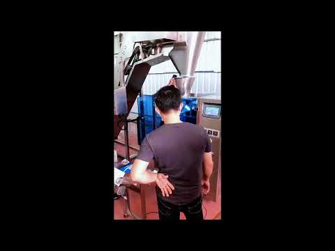 Cracker Frying Seasoning & Packaging Line