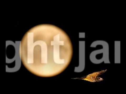dj en4ce -the nightjar - 2003