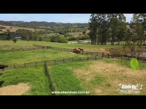 🍃✨ Oportunidade Única: 15 Hectares Próximo a Tapes/RS! ✨🍃