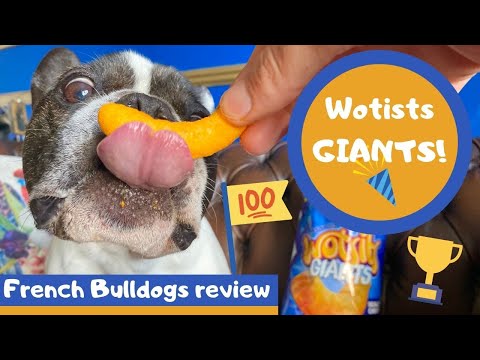 French Bulldogs review... Wotsits Giants!