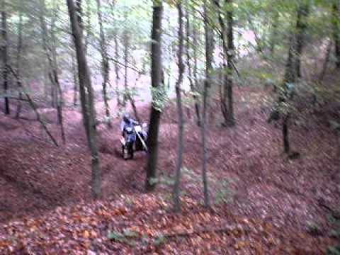 je brko al nije siledjija