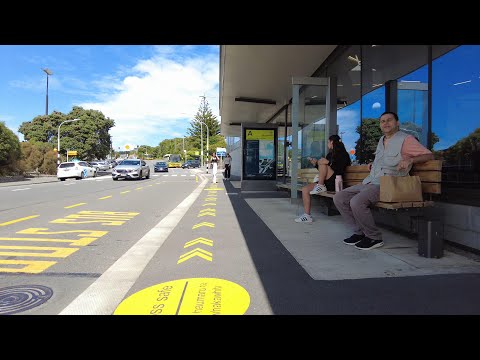 (4k) Summer walk. Johnsonville, Wellington | January 2023 | New Zealand