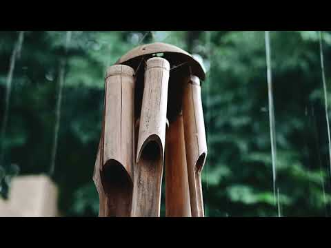 Rainfall | Ambient Video (4K)