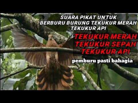 Uncal Novyj Trend Smotret Onlajn Na Sajte Trendovi Ru