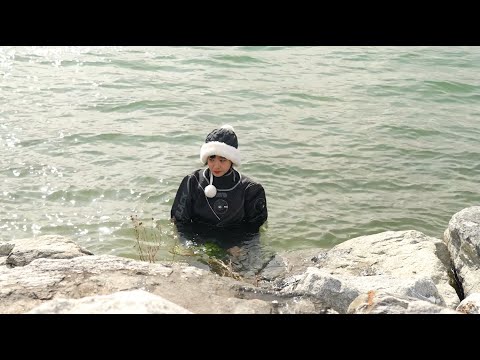 봄의 전령사