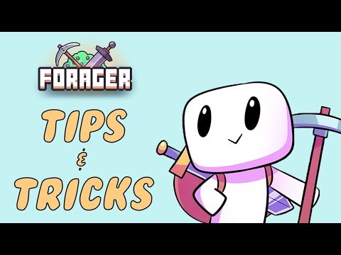 Forager Tips & Tricks