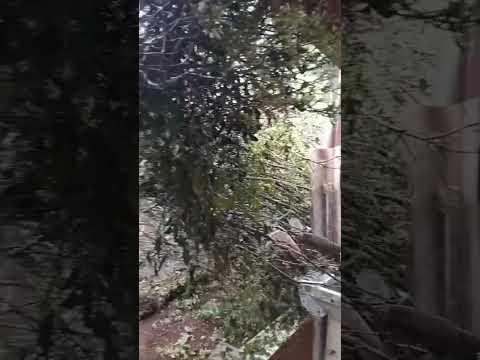 Um forte vento atingiu Mato Rico, na região central do Paraná, na tarde desta quinta-feira (29).