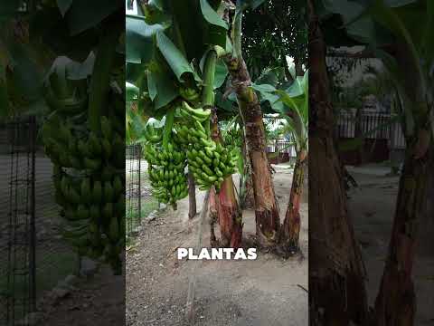 Vendo villa en Arenillas, provincia de El Oro
