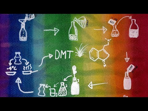How DMT is extracted || easiest technique so far