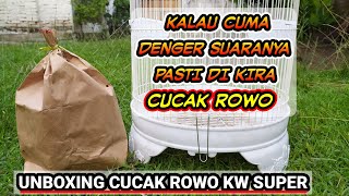 Download lagu Not Many Discuss And Know About This One Bird !! 🐦 | UNBOXING mp3