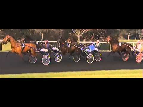 Prix De Villers Cotterets 2013_Toreador_F.P. Bossuet