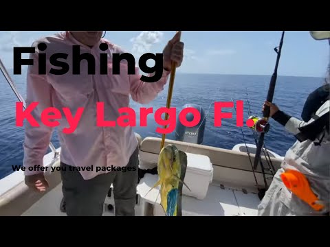 FISHING TOUR Off The Florida Keys PLUS Sandbar FUN | Key Largo  4K