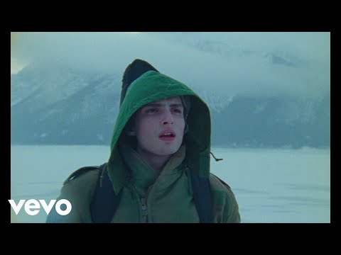 Finn Wolfhard - Objection! (Official Music Video)
