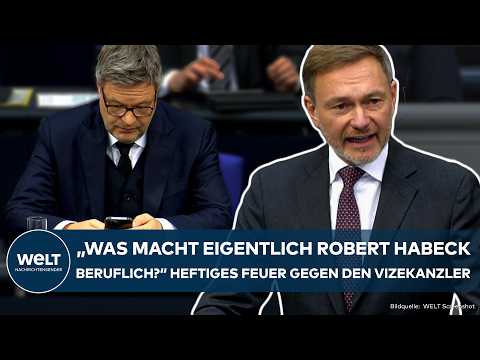 BUNDESTAG: "Was macht eigentlich Robert Habeck beruflich?" -  FDP-Chef Christian Lindner teilt aus