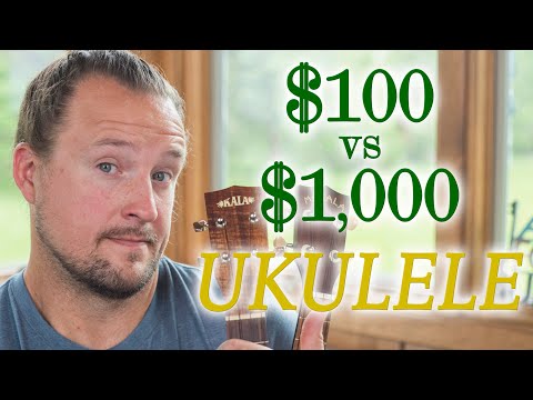 $100 vs. $1000 Ukulele | WHICH ONE SOUNDS BETTER TO YOU?