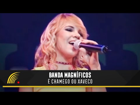 Chamego ou xaveco video