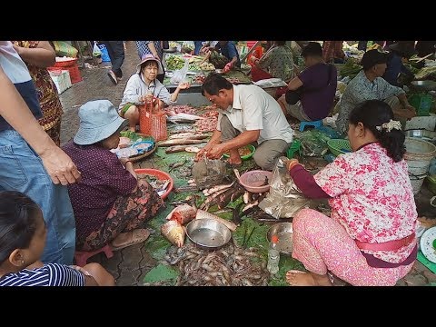 Natural Life In Market - Fresh Street Food In Phnom Penh - Cambodian Market