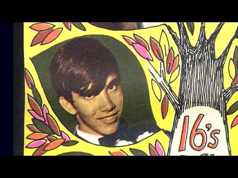 Bill, Bob, Barry, John, Paul, Dick and Susan Cowsill