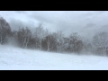 Winter Wind 1 Hour / Relaxing Snowstorm Sound, Winds Blowing Snow Across Forest Meadow