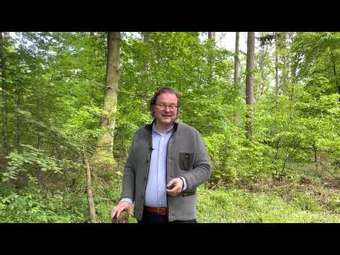 Baum ab? Nein danke! 🚫Verboten für Bushcrafter, Kinder und Jäger! Strafbar als Sachbeschädigung uvm