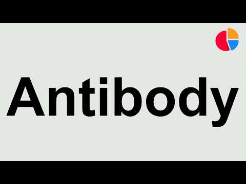 How to Pronounce "Antibody"