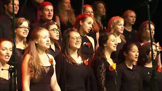 Mambo (Herbert Grönemeyer) - Psycho-Chor der Uni Jena