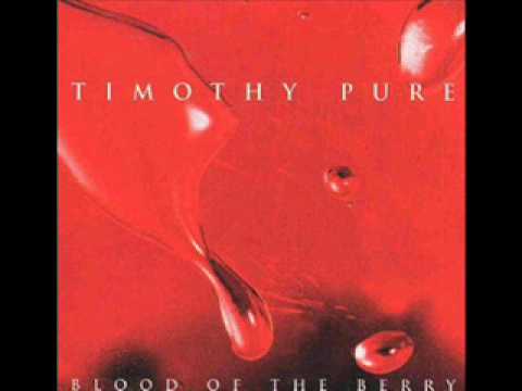 Timothy Pure - Without Words