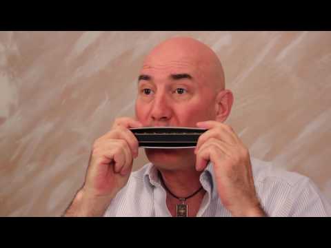 Vibrato Series 4 Chromatic Harmonica David Kettlewell