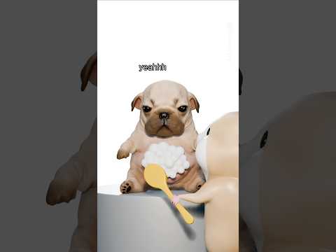 I am pibble wash my belly