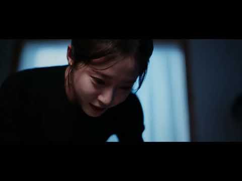 비디오 5