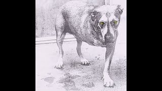 So Close / Alice In Chains (Cover)