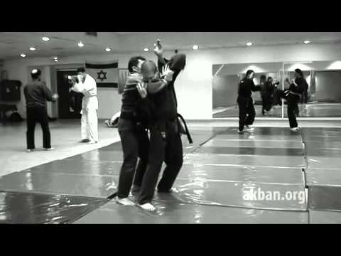 Ketsumyaku no kata   1st level Gyokko ryu for Akban wiki