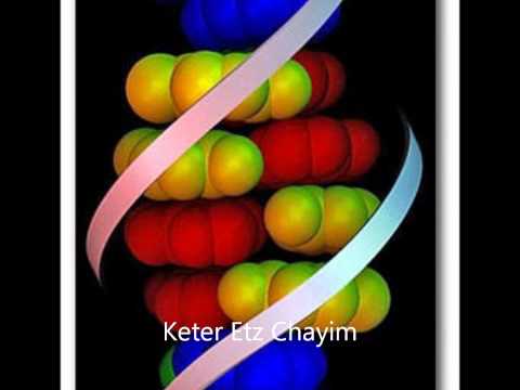 ADN Sanación-DNA Healing - Kether Etz Chayim - 1 Capa
