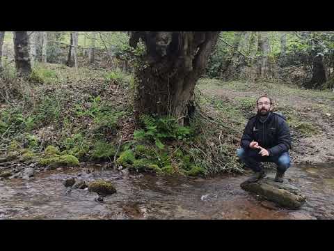 Río Guareña - Ojo Guareña
