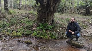 Río Guareña - Ojo Guareña
