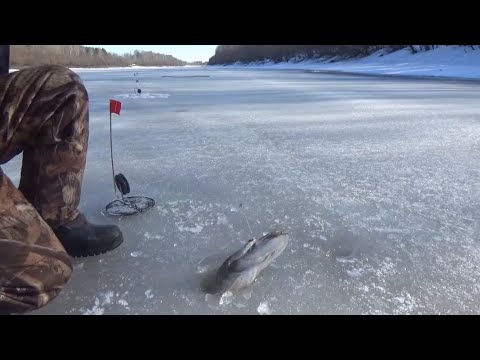 Весенняя рыбалка  на жерлицы. Река Сосьва. Стреляющий и дурно пахнущий костёр.