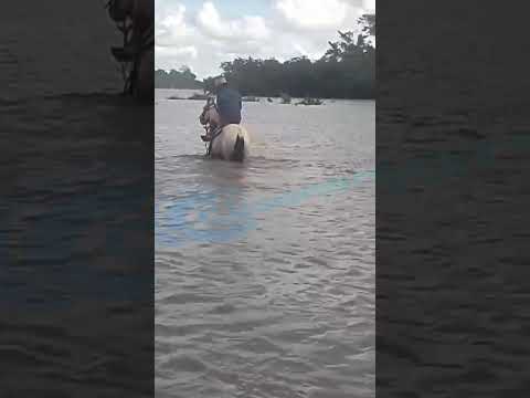 vereda el rubi hato corozal inundacion y declaratoria de emergencia manifiesta 2