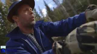 Stein Torleif Bjella "Veamann"