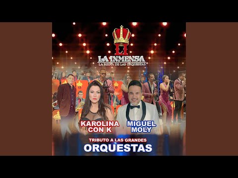 Tributo a las Grandes Orquestas