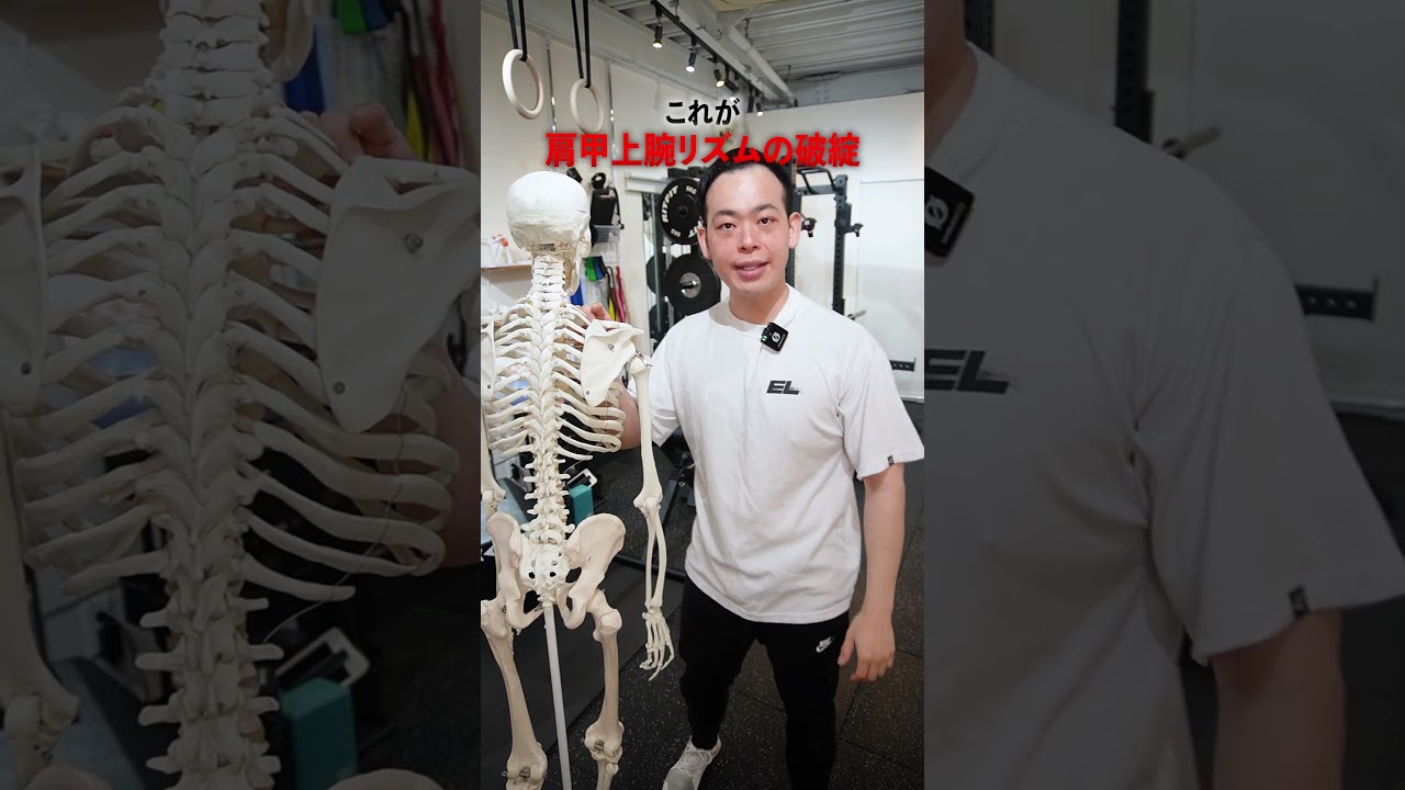 【オーバーヘッドプレス】肩甲骨のコントロールを覚えよ！