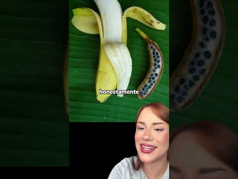 Como as frutas eram antes do ser humano